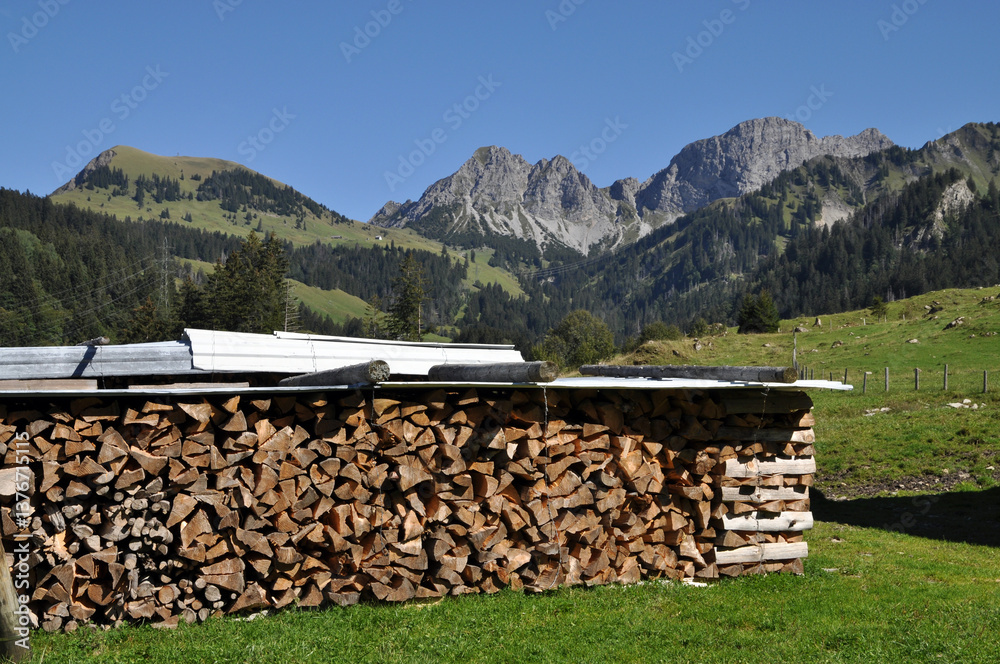 Holzstoß mit Schafnase und Rossflue