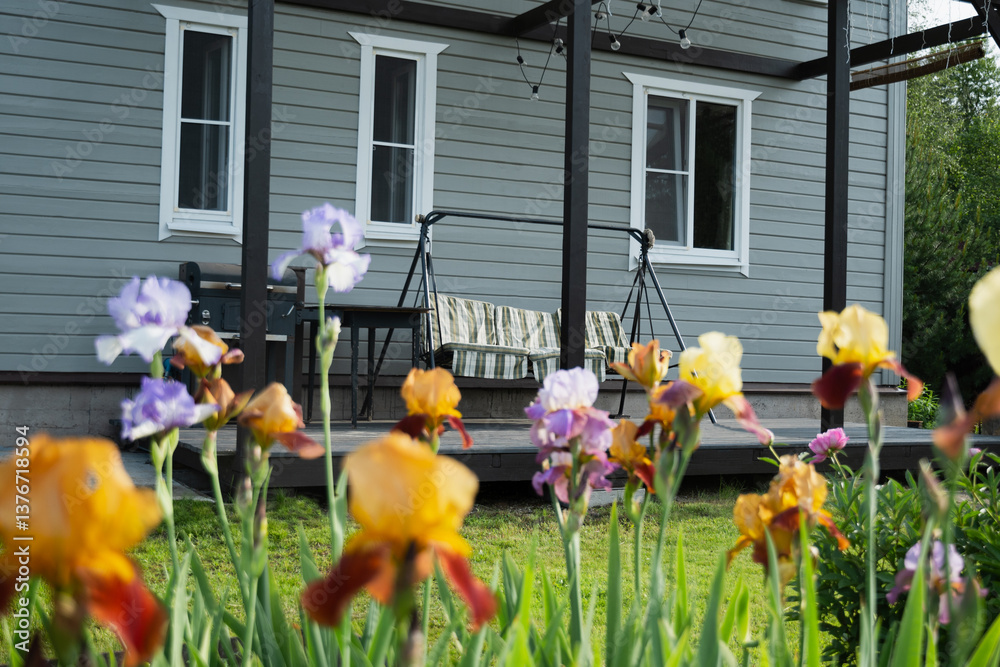 Irises flowers of different varieties in garden in front of veranda of private wooden house. Focus on Iris flowers. Outdoors. Summer season