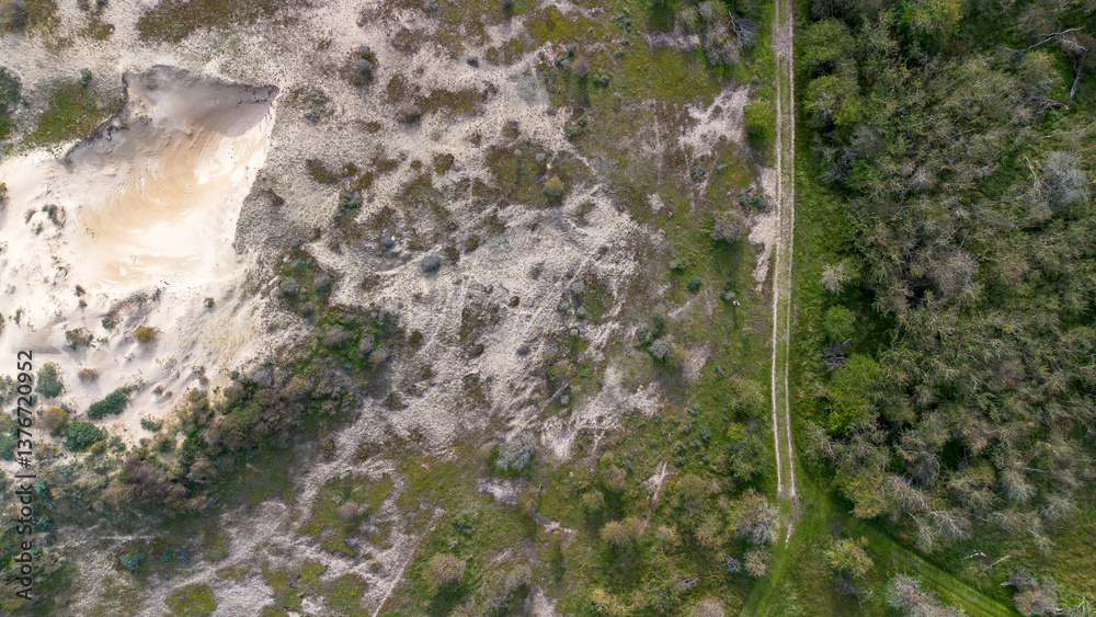 Obraz premium Aerial view of a sandy area surrounded by green vegetation and trees, showcasing a natural landscape with patches of grass and shrubs, captured from a drone.