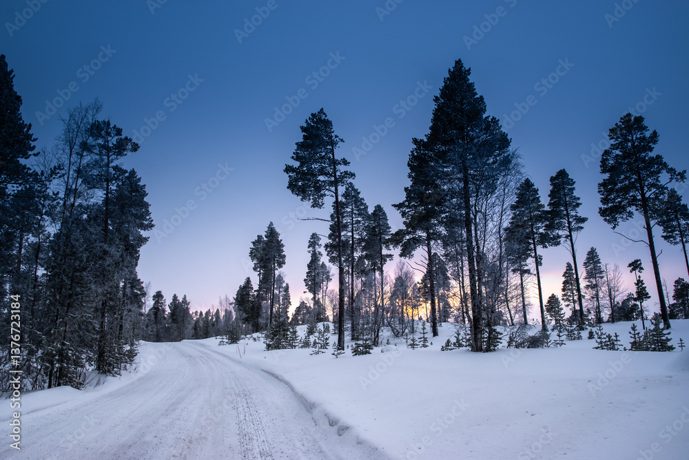 Winter Landscape with Tall Trees Along a Snowy Road During Sunrise in Lapland, Finland