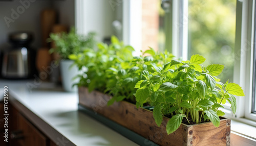 Herb planter box thriving in modern kitchen, homegrown nourishment
