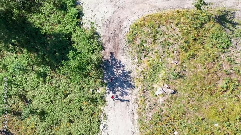 Men walking dog on hiking trail in forest aerial view Men walking dog on hiking trail in forest aerial view