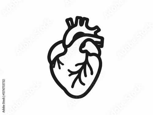 Anatomical heart icon in black outline illustration