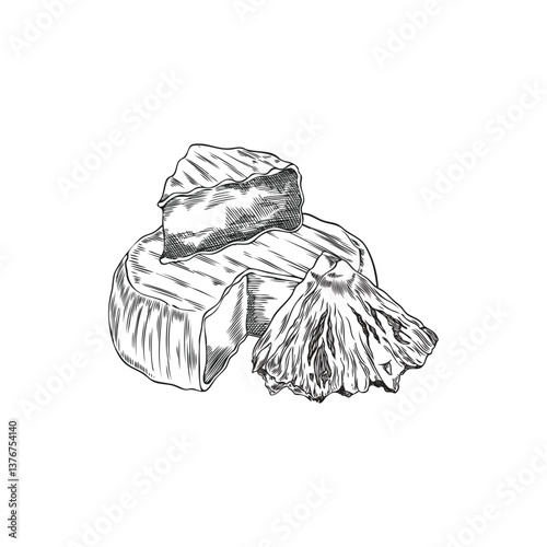 Camembert cheese with pineapple vector engraved sketch, hand drawn soft cheese and fruit pieces, milk food production