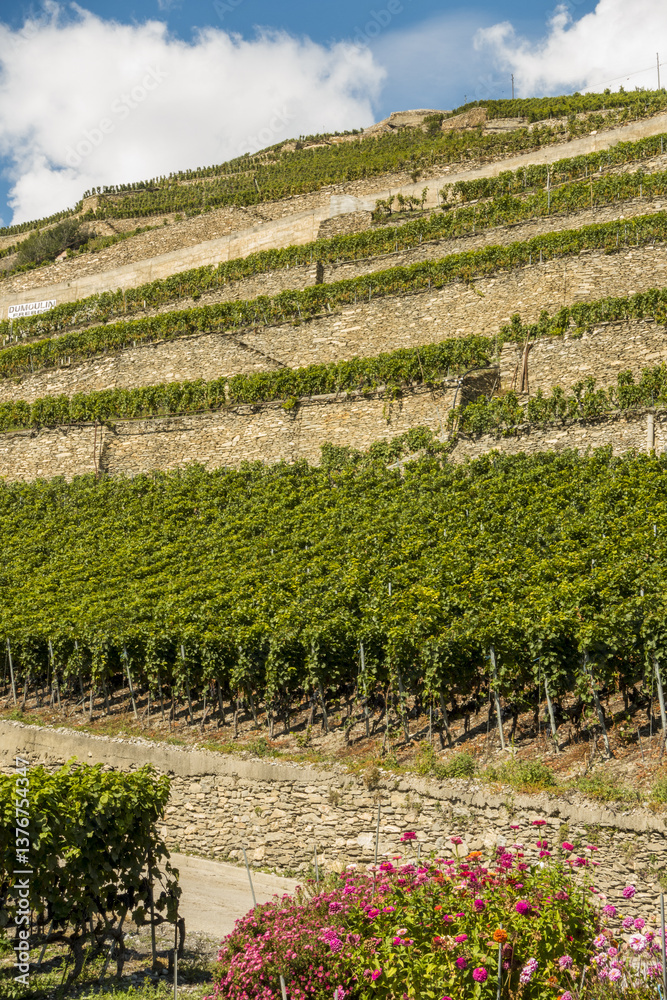 L Orpailleur, Frederic Dumoulin, Weingut, Wallis, Schweiz, Uvrie