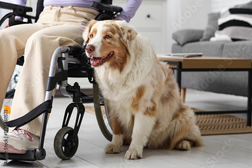 Service dog near woman in w...