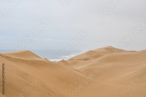 Fototapeta Naklejka Na Ścianę i Meble -  Ocean View over the Dune