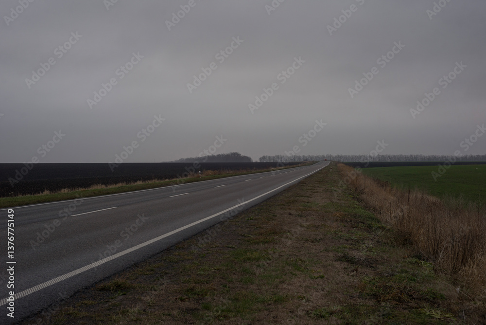 foggy autumn landscape of road and field. Minimalism