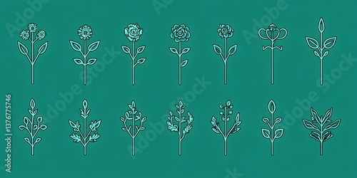 Teal Floral Line Art Set.