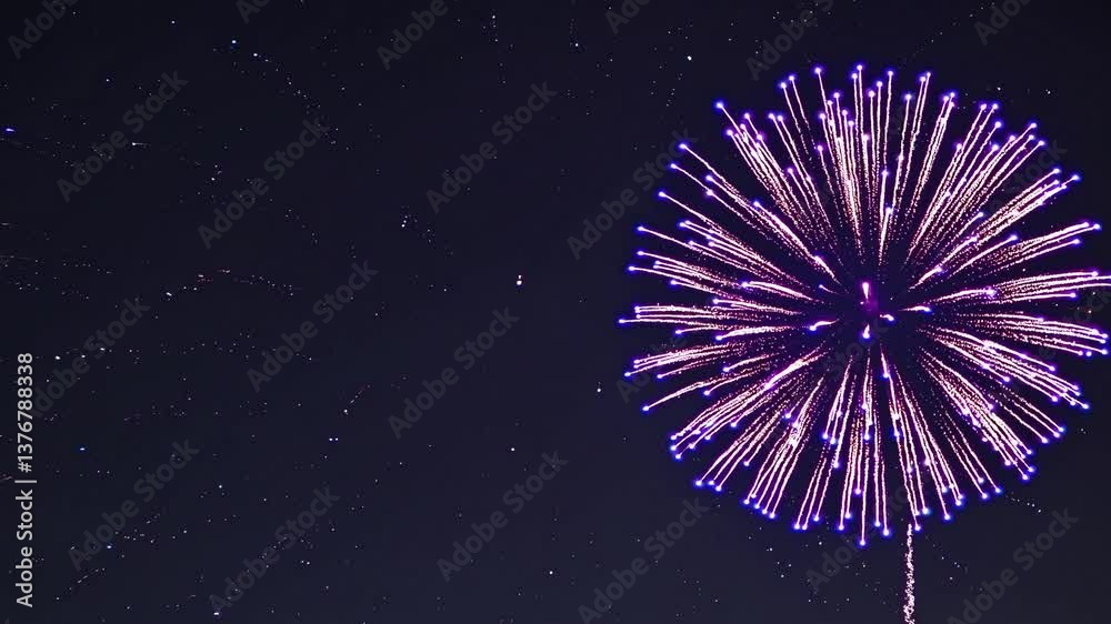 Purple fireworks burst against night sky with radiant sparks displaying magnificent pyrotechnic artistry