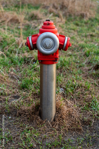 Wallpaper Mural Hydrant przeciwpożarowy na tle trawy i krajobrazu – Element infrastruktury w otoczeniu przyrody. Torontodigital.ca