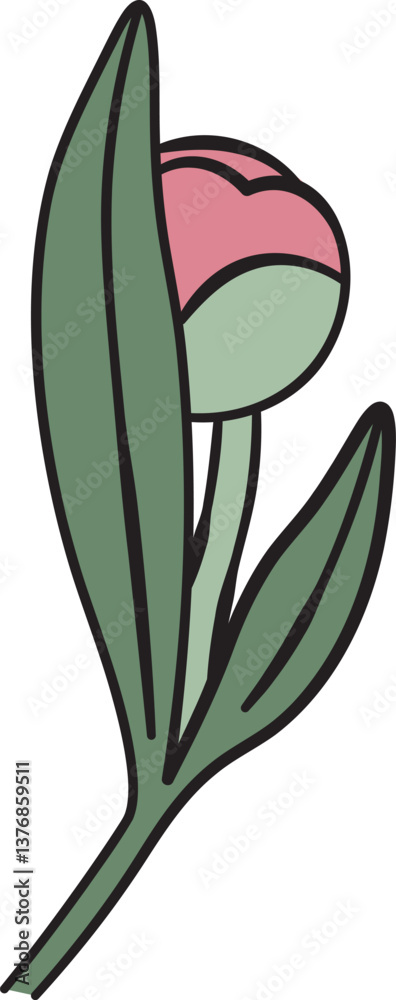 Obraz premium Peony Bud with Leaves