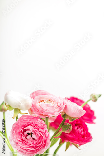Beautiful pink ranunculus flowers in a clear vase