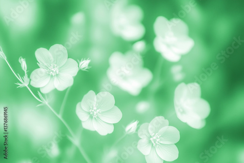 White wild flowers close-up retro print, green summer background