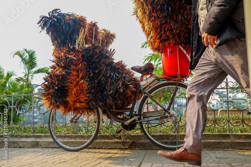 Pedestrian Passing Feather Duster Bicycle Vendor photo