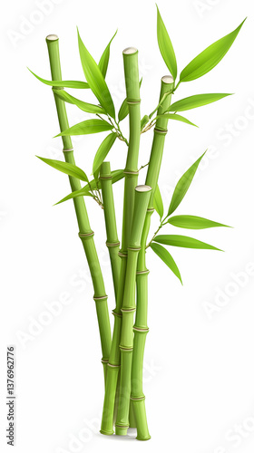 Lush green bamboo stalks with vibrant leaves, isolated on white (1) AI generative