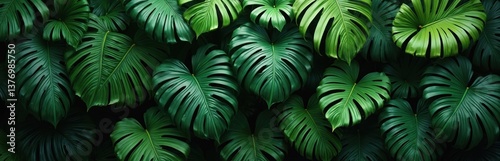 Close-up shot of rich green monstera leaves. Jungle plant with vibrant texture. Exotic tropical plant elements, rich foliage wallpaper. Natural background with detailed leaves patterns, dark shades.