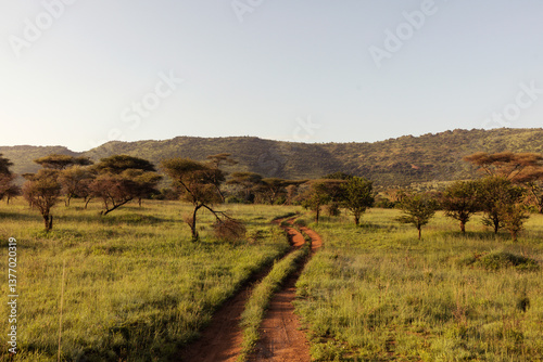 Sunrise in the Serengeti
