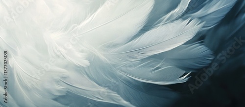 Delicate Feather Texture (1)