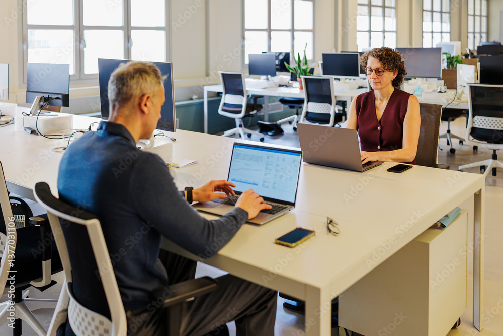 Business professionals working together in modern open office space Business professionals working together in modern open office space