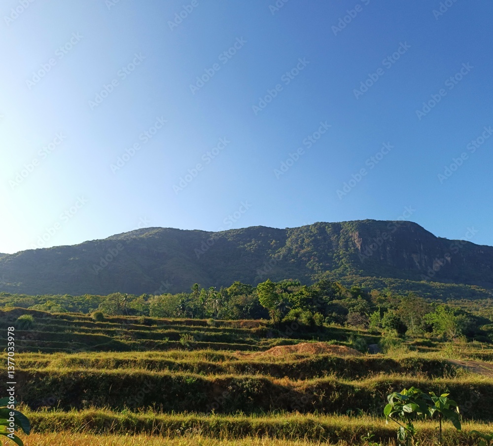 Obraz premium landscape in the mountains