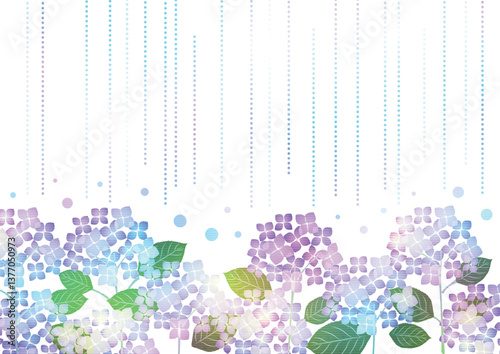 しとしと雨に虹色あじさいの梅雨背景、横、イラスト、かわいい、白