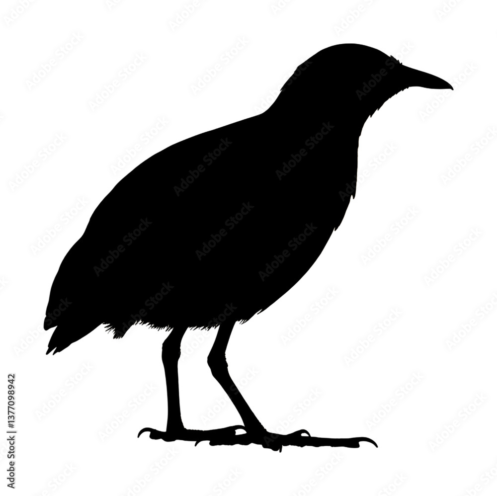 Fototapeta premium 静かに佇む小鳥シルエット