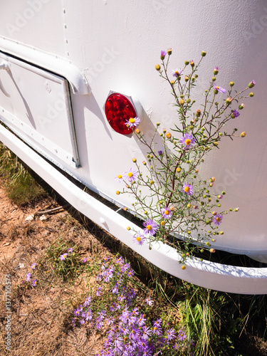 A desert flower grows alongside the base of a camping trailer photo