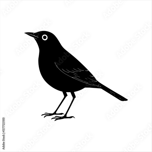 Black Bird Silhouette on White Background