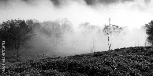 Wallpaper Mural 山梨県甲州市　秋の大菩薩嶺 Torontodigital.ca