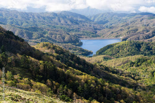 Wallpaper Mural 山梨県甲州市　秋の大菩薩嶺 Torontodigital.ca