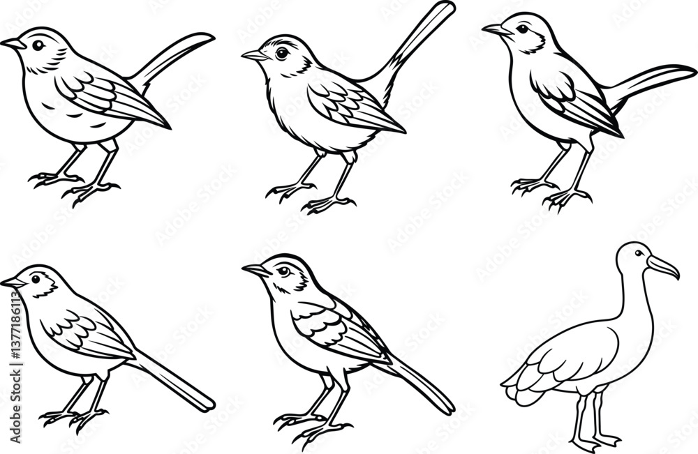 Fototapeta premium Various Bird Line Art Illustration Collection.
