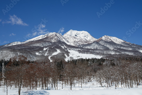 快晴の雪景色の妙高高原 妙高山山ろくにゲレンデが広がる