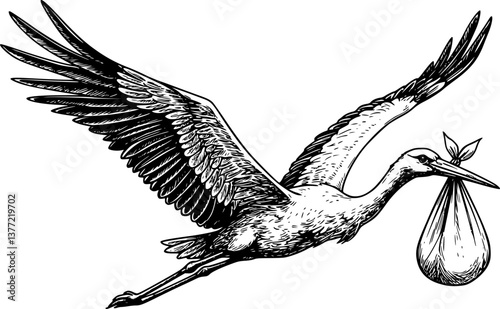stork deliver baby engraving black and white outline
