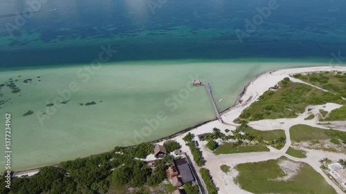 Wallpaper Mural Aerial view of Holbox paradise beach with turquoise waters, dock, and lush greenery Torontodigital.ca
