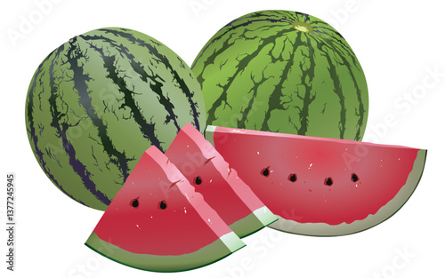 Vector watermelon, whole and sliced