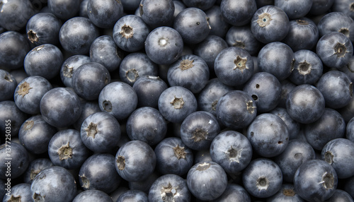 close up of punnet of blueberries for sale