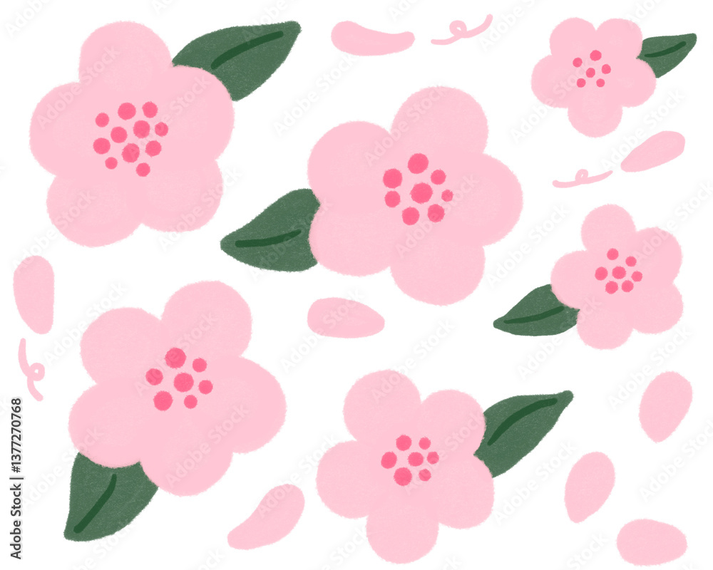 Cherry Blossom Illustration, Hand Drawn, Pink, Spring Flower, Pink Cherry Blossom Illustration, Hand Drawn, Pink, Spring Flower, Pink