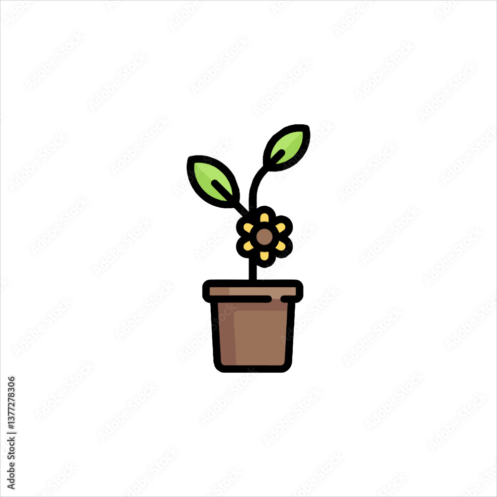 plant in pot