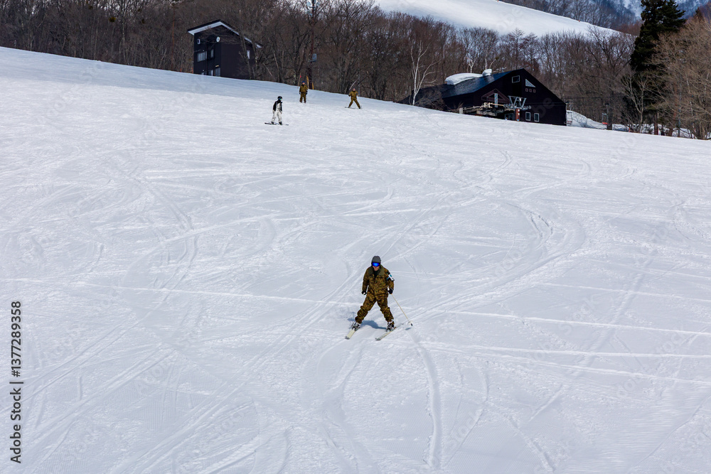 Skier on a gentle ski slope on sunny day