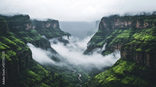 Misty valley between towering green mountains. Lush vegetation fills the valley floor, while thick fog rolls through the canyon