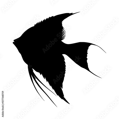 Elegant Angel Fish Silhouette