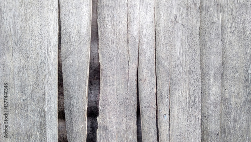 Peeling Plywood Bark Texture Background photo