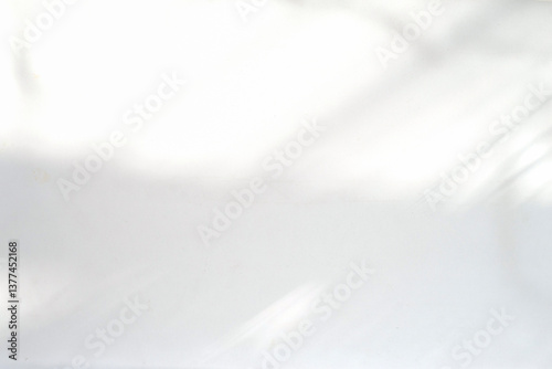 Abstract white background, natural light and shadow on white space.
