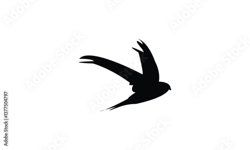 Flying African palm swift bird Silhouette Design  And Vector Illustration. 