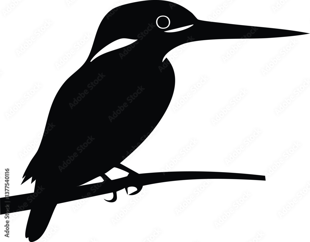 Fototapeta premium kingfishor bird silhouette illustration 