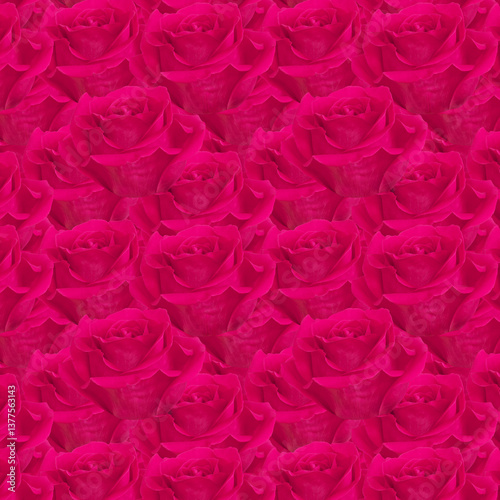 Obraz na płótnie Pattern of Vivid Pink Roses in Full Bloom. w salonie