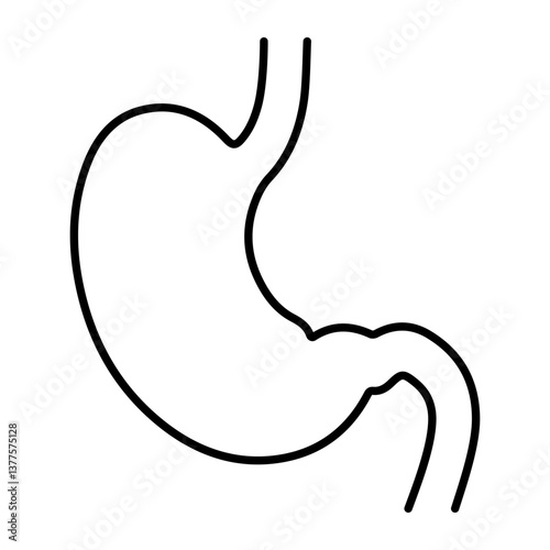 Simple stomach outline illustration for healthcare, anatomy gastrointestinal tract