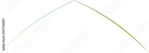 Gradient Mandala Vector Collection for Decorative and Artistic Design Projects