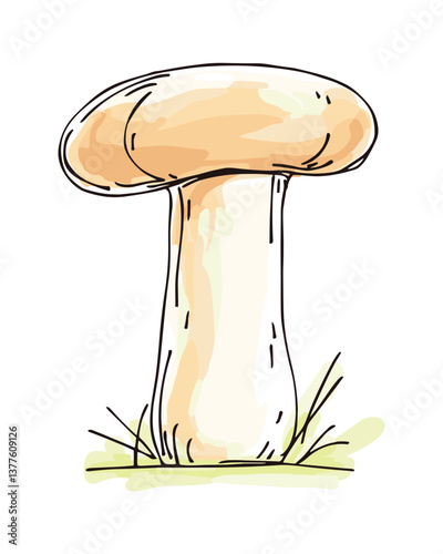 Isolated Illustration of a Single Mushroom, Hand Drawn Style with Watercolor Effect